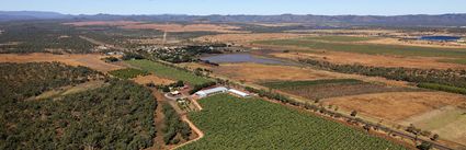 Lakeland Farm - QLD (PBH4 00 14318)